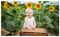 Slideshow